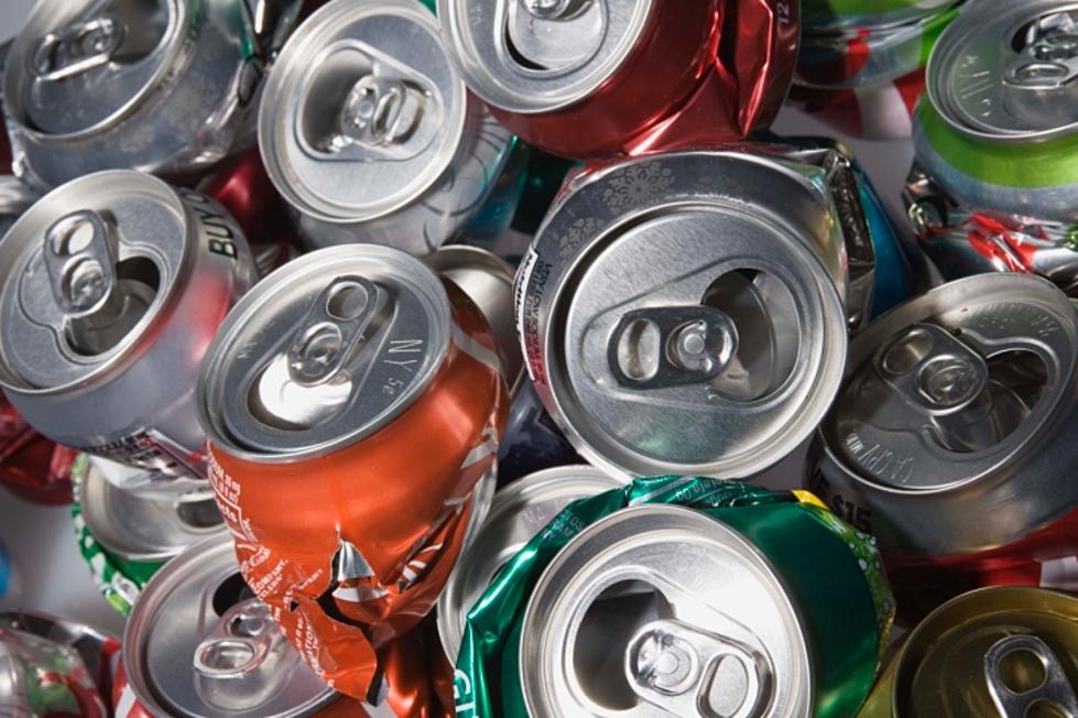 Hudson Valley Family Makes Small Fortune in Recycled Cans