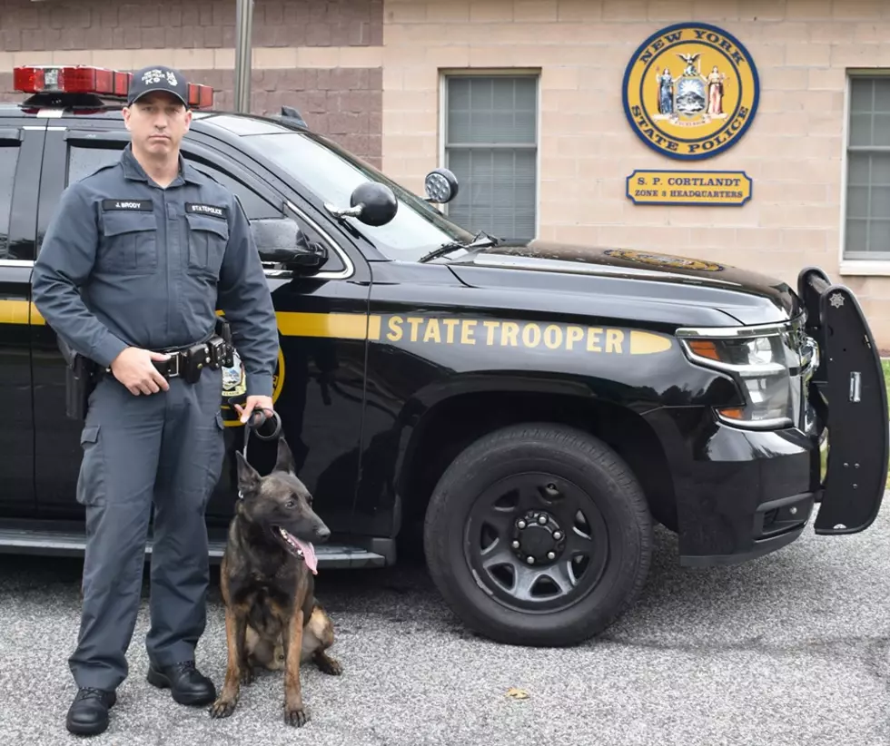 Off-Duty Hudson Valley Officer and Dog Bring Victim Back to Life