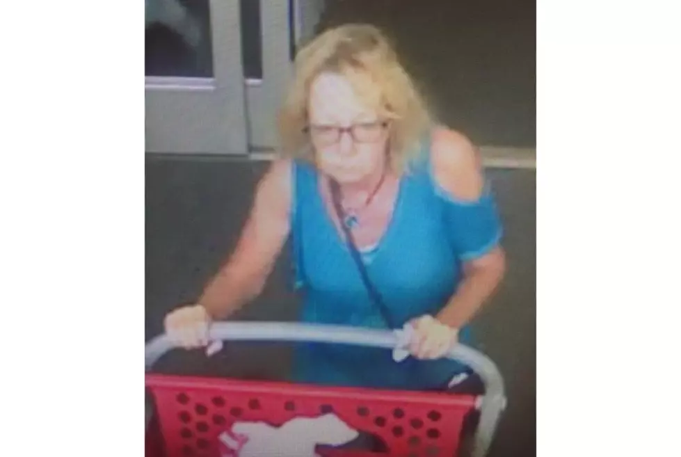 Hudson Valley Target Shopper Wanted by State Police
