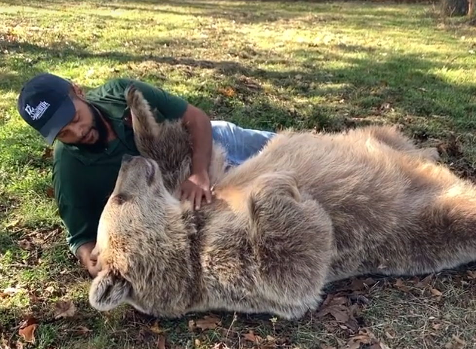 Hudson Valley Man&#8217;s Heartwarming Reunion With Orphaned Bear