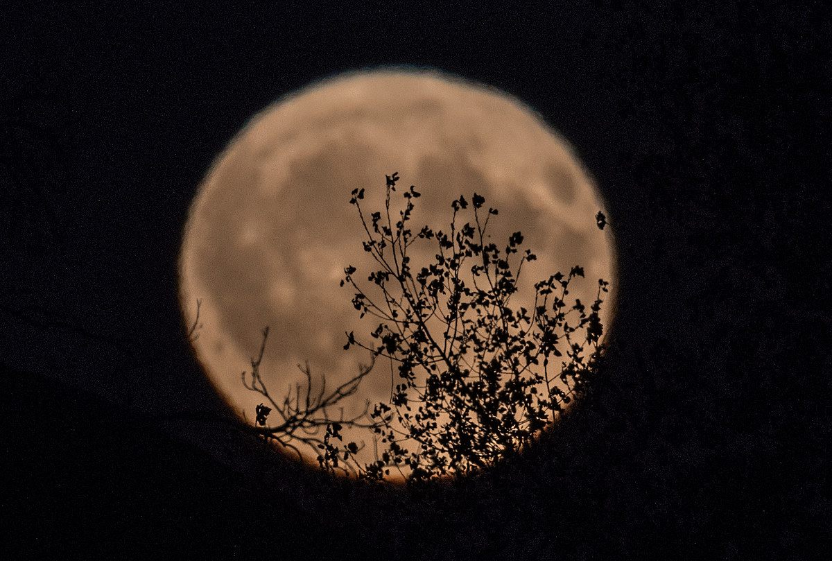 Ледяная Луна. Как называется полнолуние. Морозная Луна. Full Moon Пленочные фото.