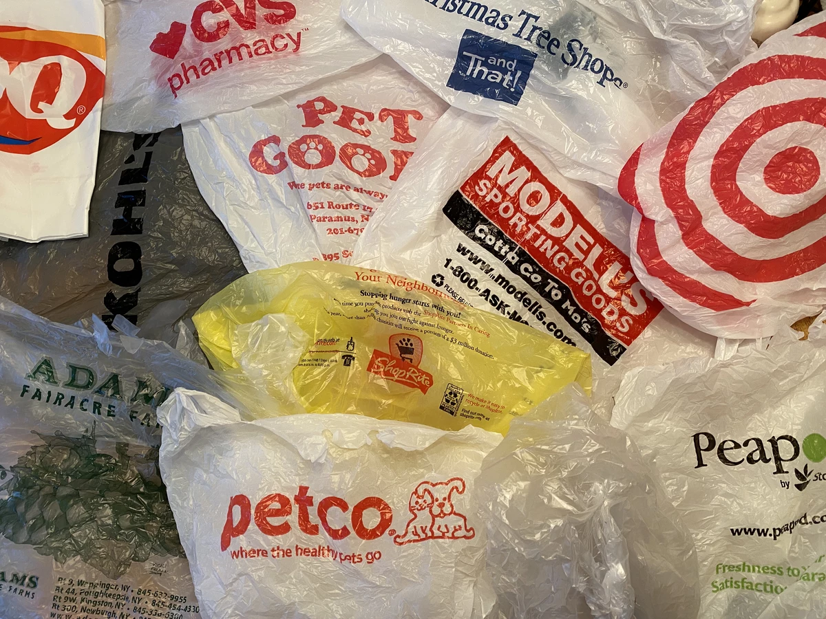 Heres What You Need To Know About New Yorks Plastic Bag Ban Keweenaw Bay Indian Community