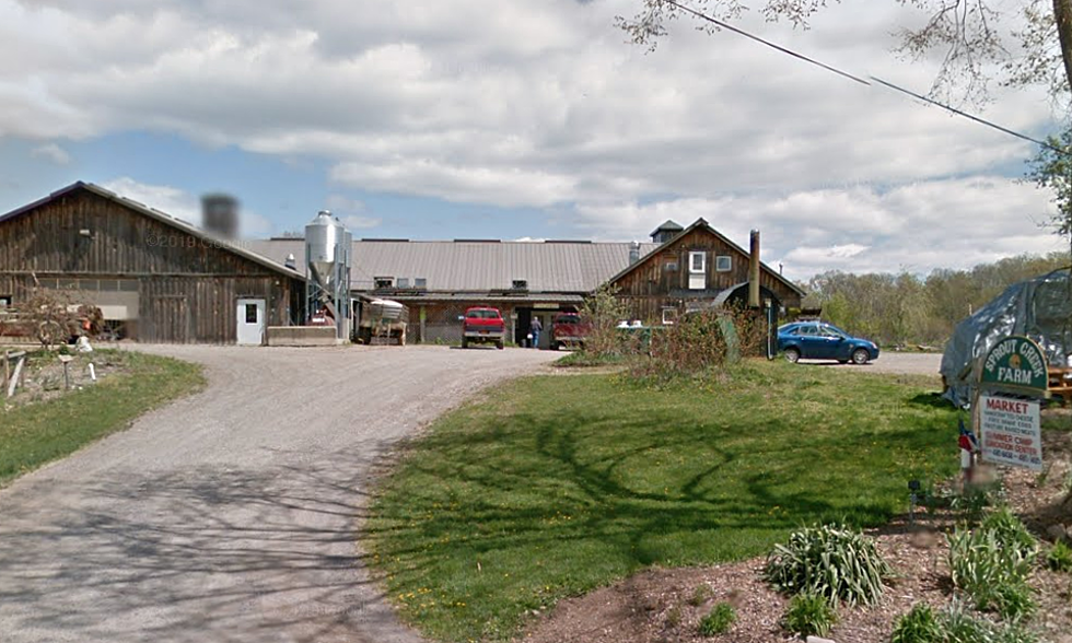 Marist Responds to Allegations of &#8216;Destroying&#8217; Sprout Creek Farm