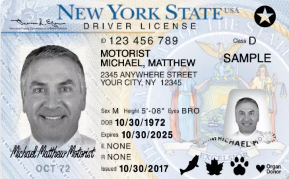 Hudson Valley Drivers Need New Licenses By October 1