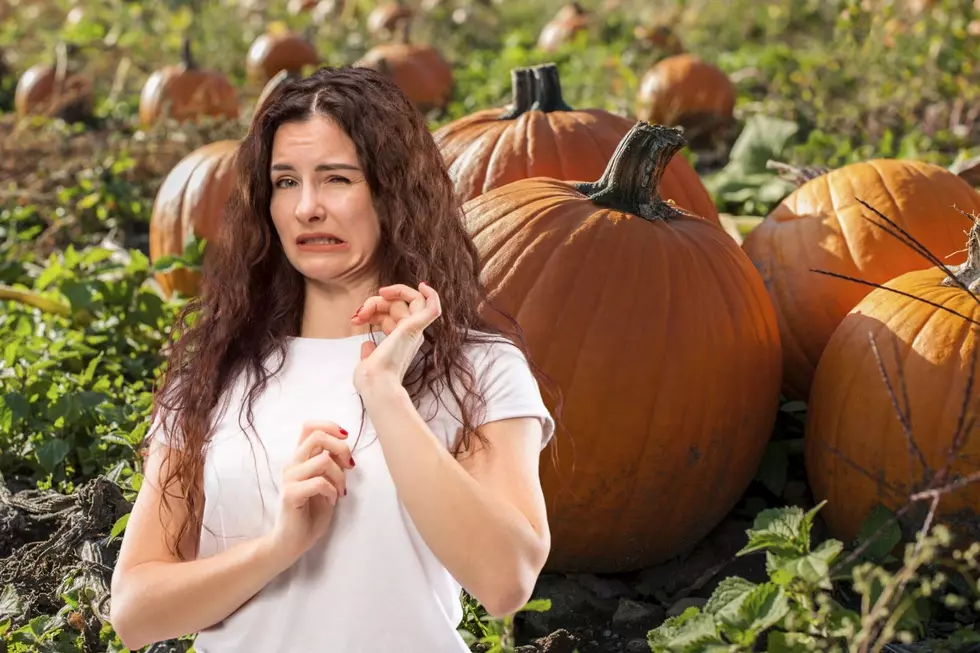 Hudson Valley Orchard Needs Your &#8216;Stinky&#8217; Perfume To Protect Crop