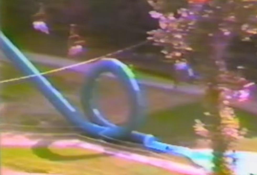 Long-Awaited Action Park Documentary to Debut on HBO Max This Month
