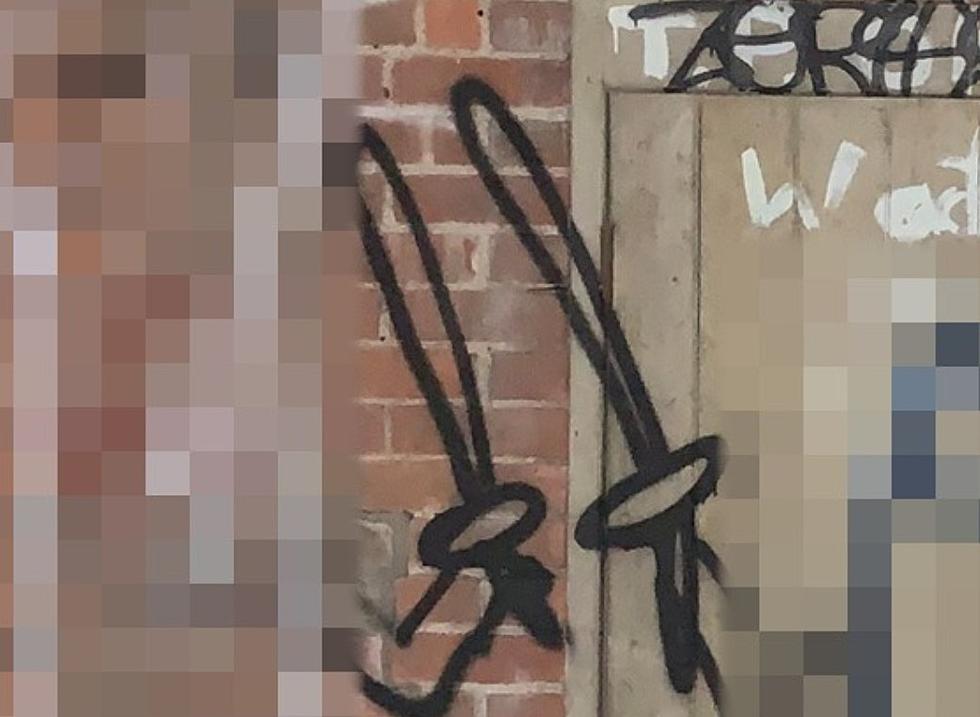 ‘Sword-Fighting Penises’ Graffiti Spawns Reward Offer in Dutchess