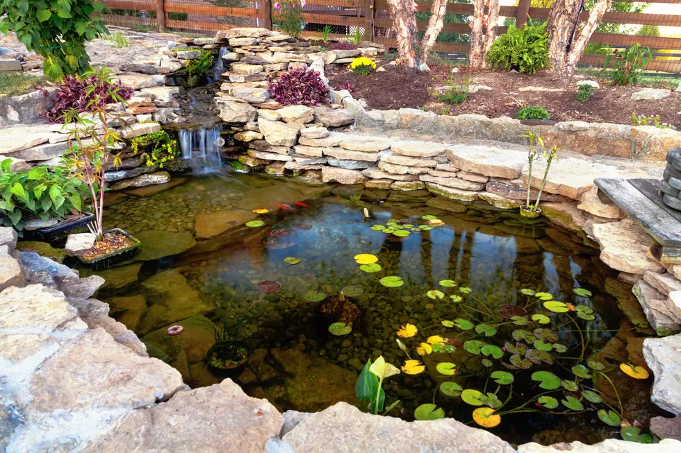 New York Man Gets Stuck Head-First in His Own Koi Pond