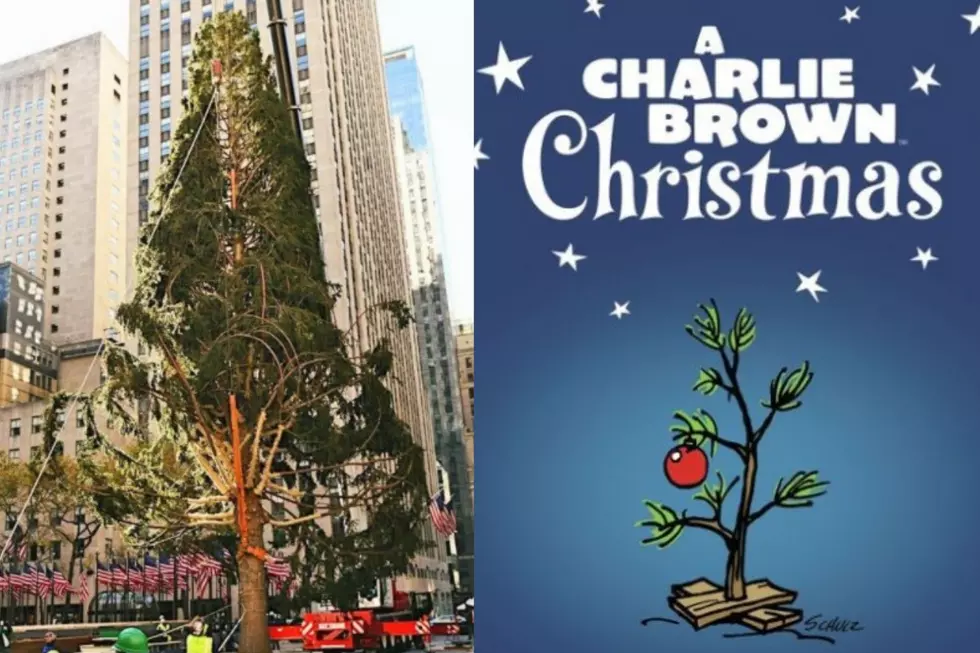 Sad Rockefeller Tree Mocked For Being Ugly Because&#8230; Well, 2020