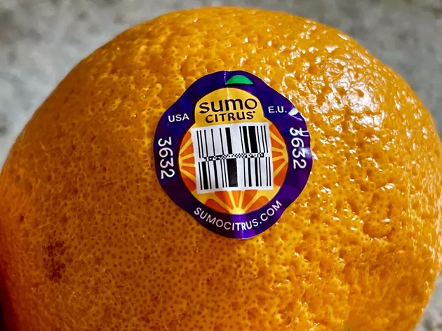 SUMO Citrus TASTE TEST 