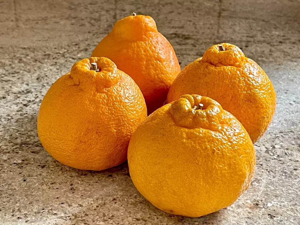 Popular Rare Orange Variety Spotted on Shelves in Hudson Valley