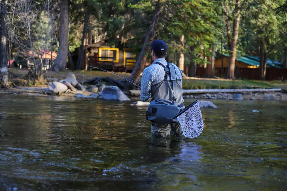 New Regulations for Trout Stream Fishing