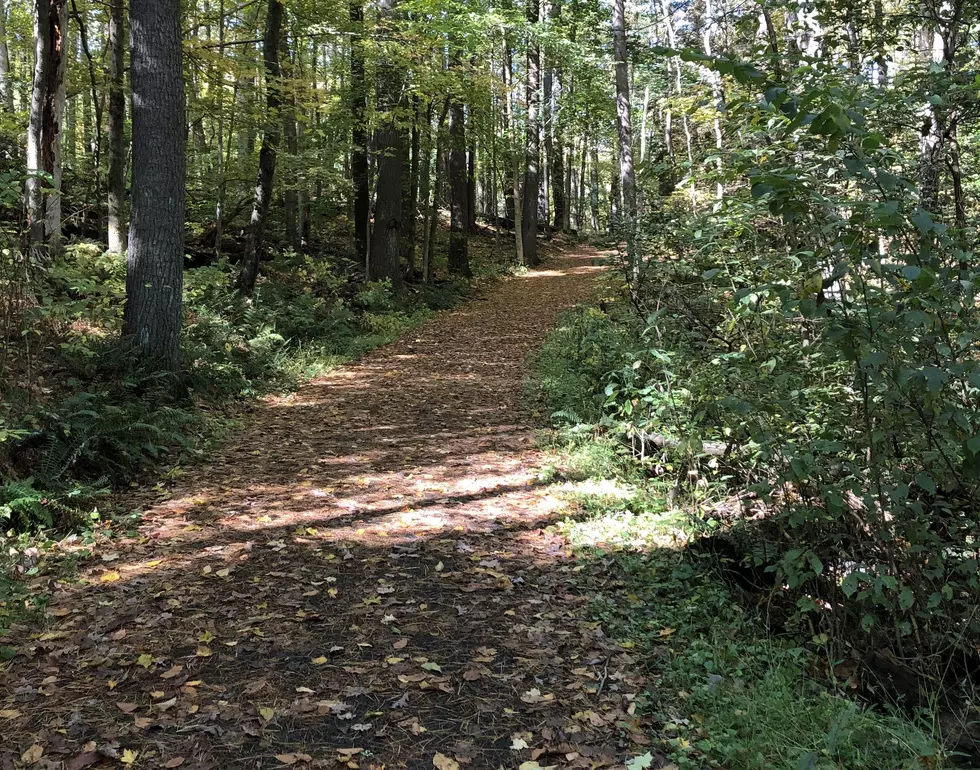 This Peaceful Hiking Trail Is a Hudson Valley Hidden Gem in Hyde Park , NY