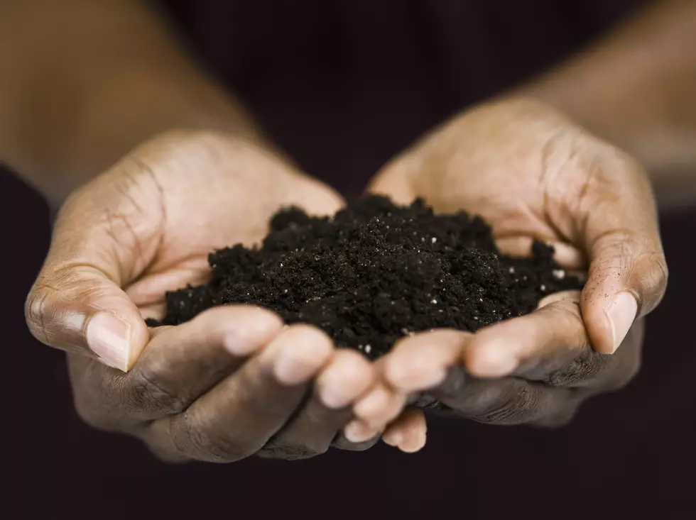 Can You Bury a Loved One in the Backyard in New York State?