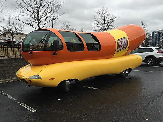 Huge Wiener Spotted in Hudson Valley Just in Time For Mothers Day