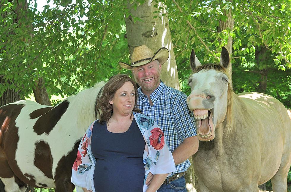 Hilarious Horse Photobomb Has the Whole Hudson Valley Laughing