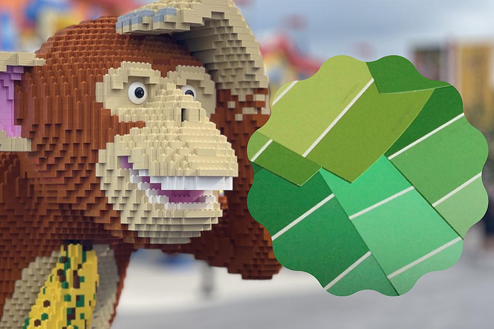 LEGOLAND NY Guests Report &#8216;Bright Green Poop&#8217; After Visiting Park