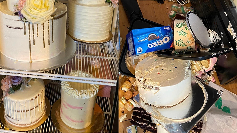 Vandals Break Into Wappingers Bakery Destroying Expensive Cakes