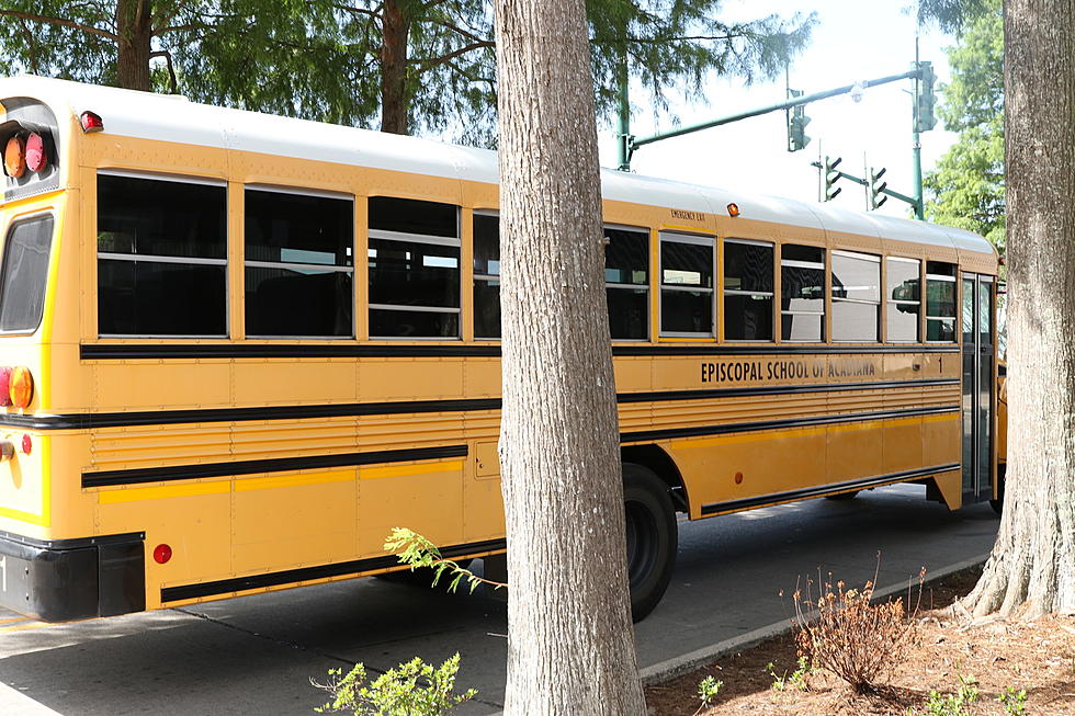 New York Man Won’t Stop For School Bus, Drives Through Neighbor’s Lawn