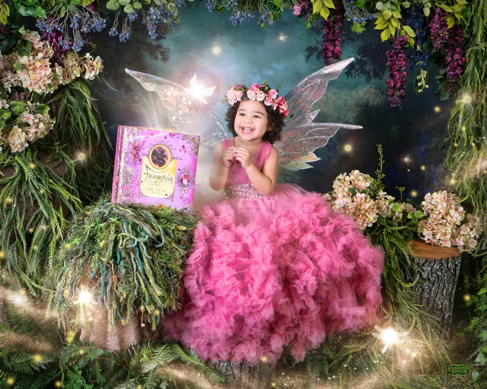 Enchanted Fairies