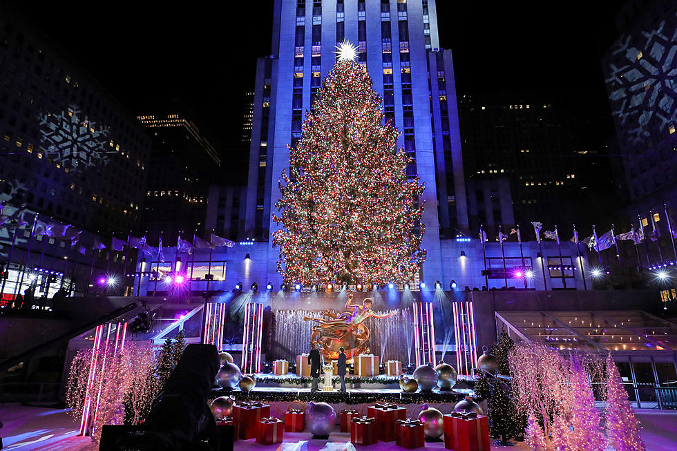 Rockefeller Christmas Tree Selected; NOT Coming From New York