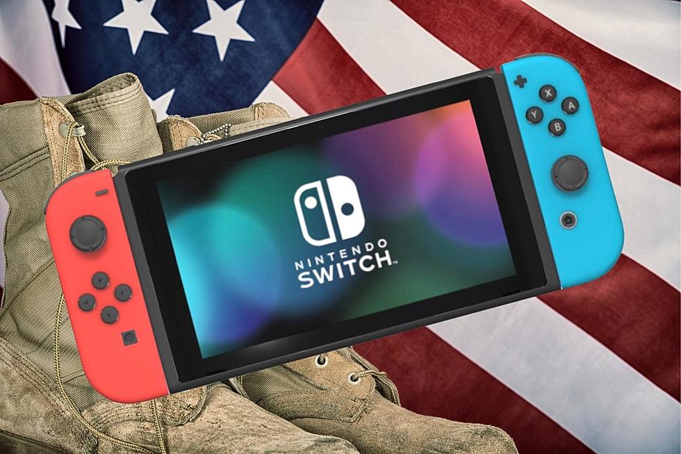 Win a Nintendo Switch For Helping Out a Hudson Valley Vet