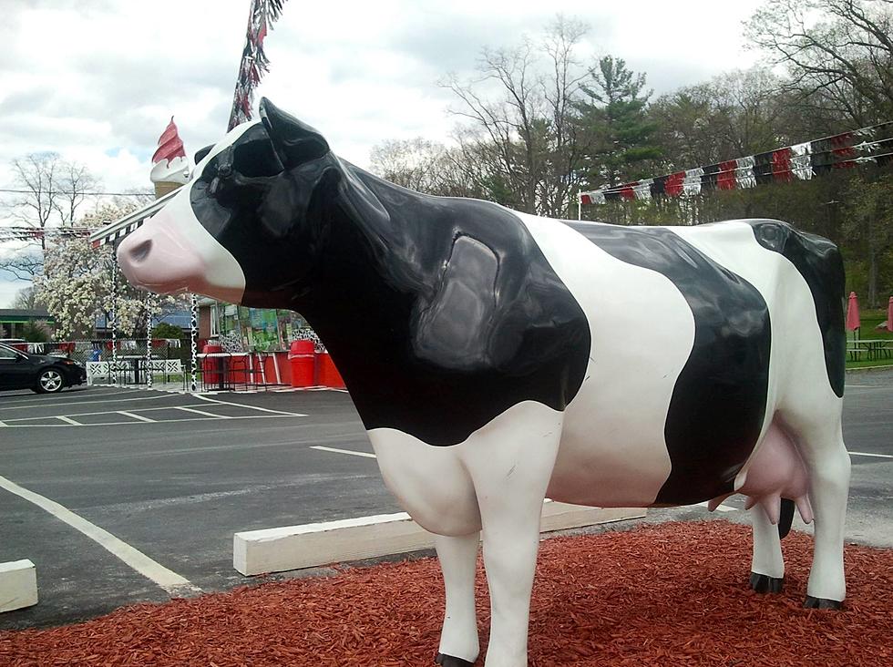 Popular Ulster County Ice Cream Stand Closes Season with Free Ice Cream