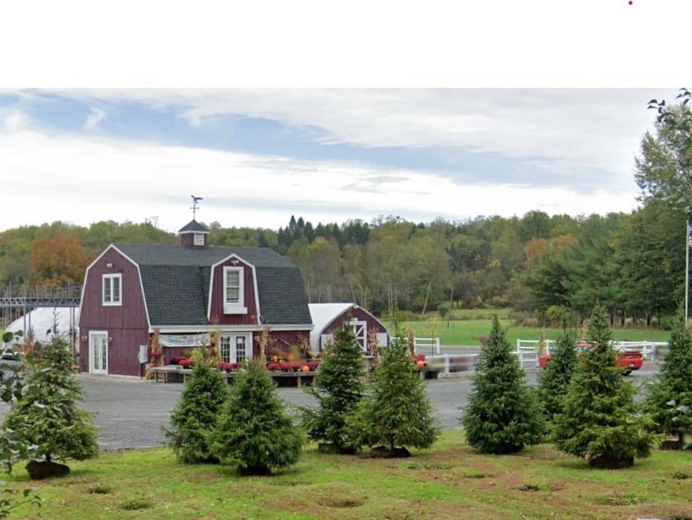 Holiday Market Returns to Popular Hudson Valley Farm