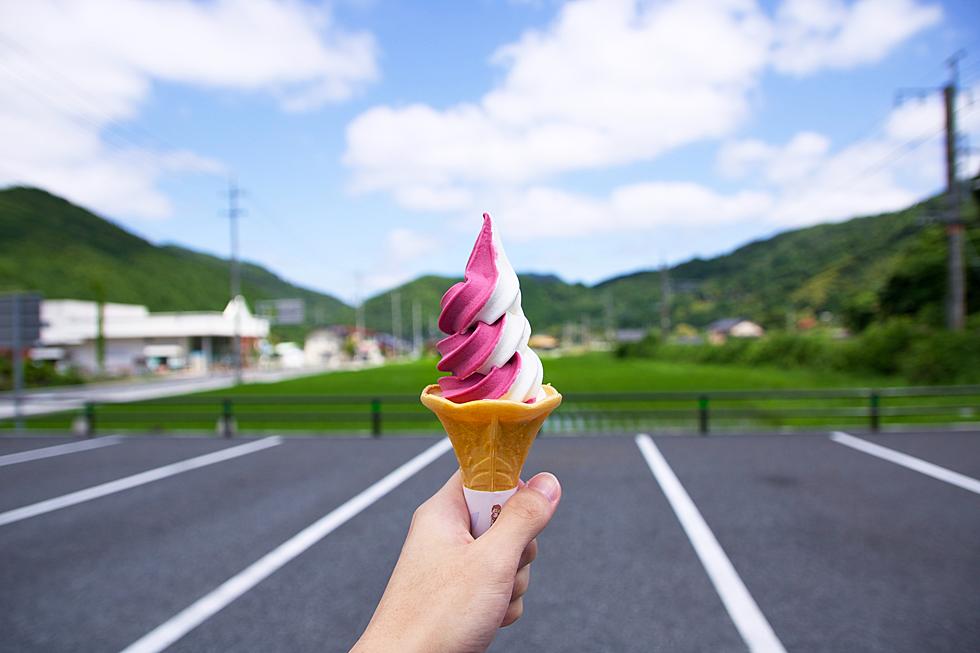 One of Ulster County’s Favorite Ice Cream Stands Opening this Month