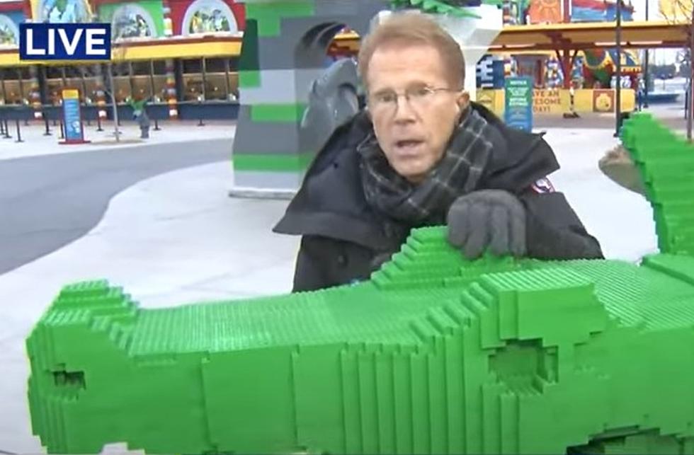 CBS Reporter Calls LEGOLAND ‘Touchy’ in Live Segment