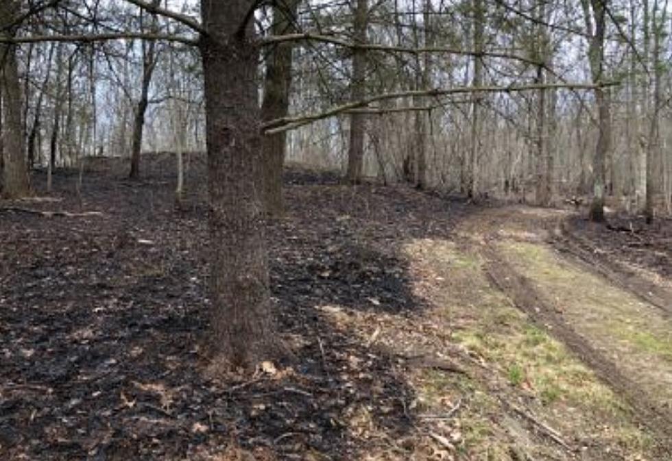 82-Year-Old Sets Fire to 38 Acres in Dutchess County, Says DEC