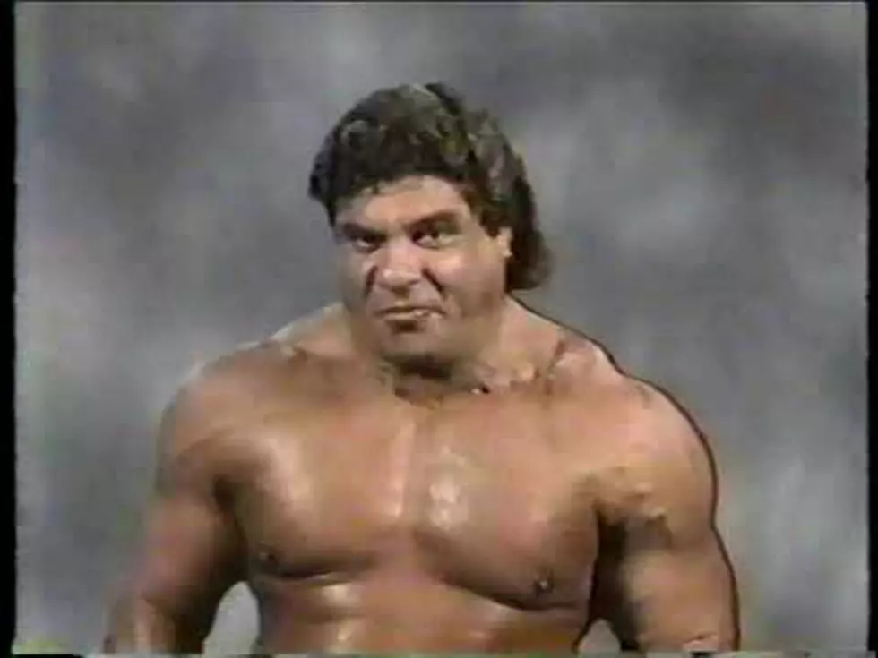 Wrestling Legend Don Muraco Remembers Popular Hudson Valley Venue