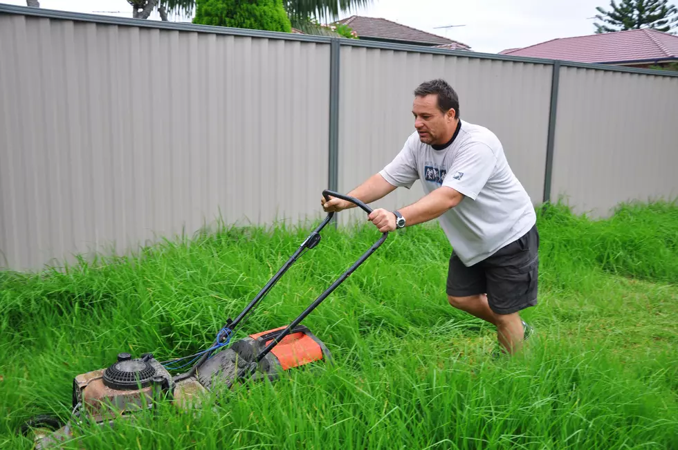 Why Hudson Valley Lawns are Growing Faster Than Usual This Year