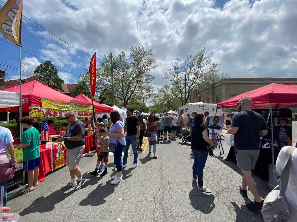 Famous Street Fair in Lower Hudson Valley This Weekend