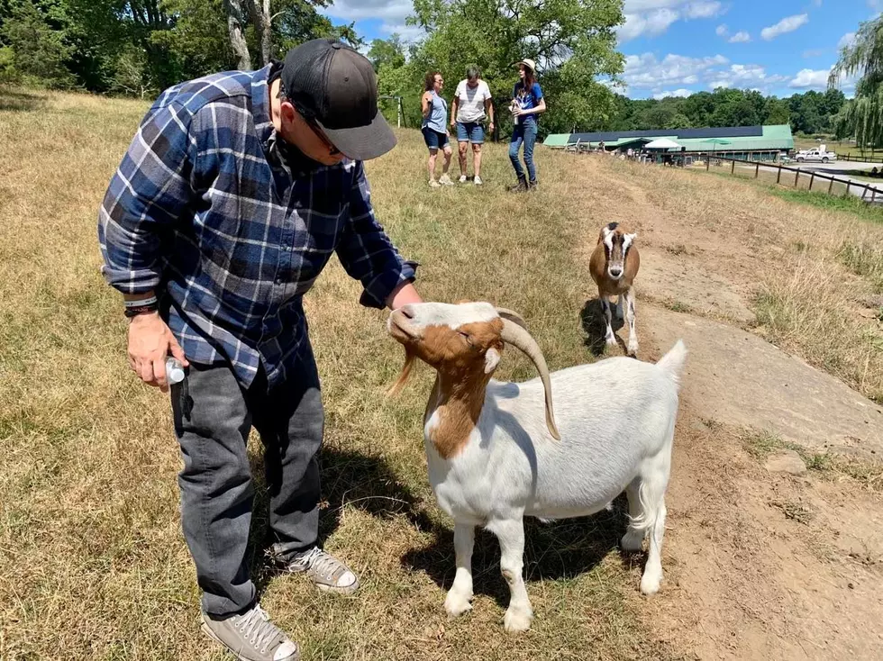 A Look Inside the Catskill Animal Sanctuary