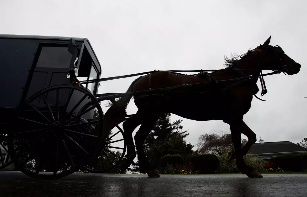 Officials in New York State Say Minivan Hit Amish Buggy From Behind