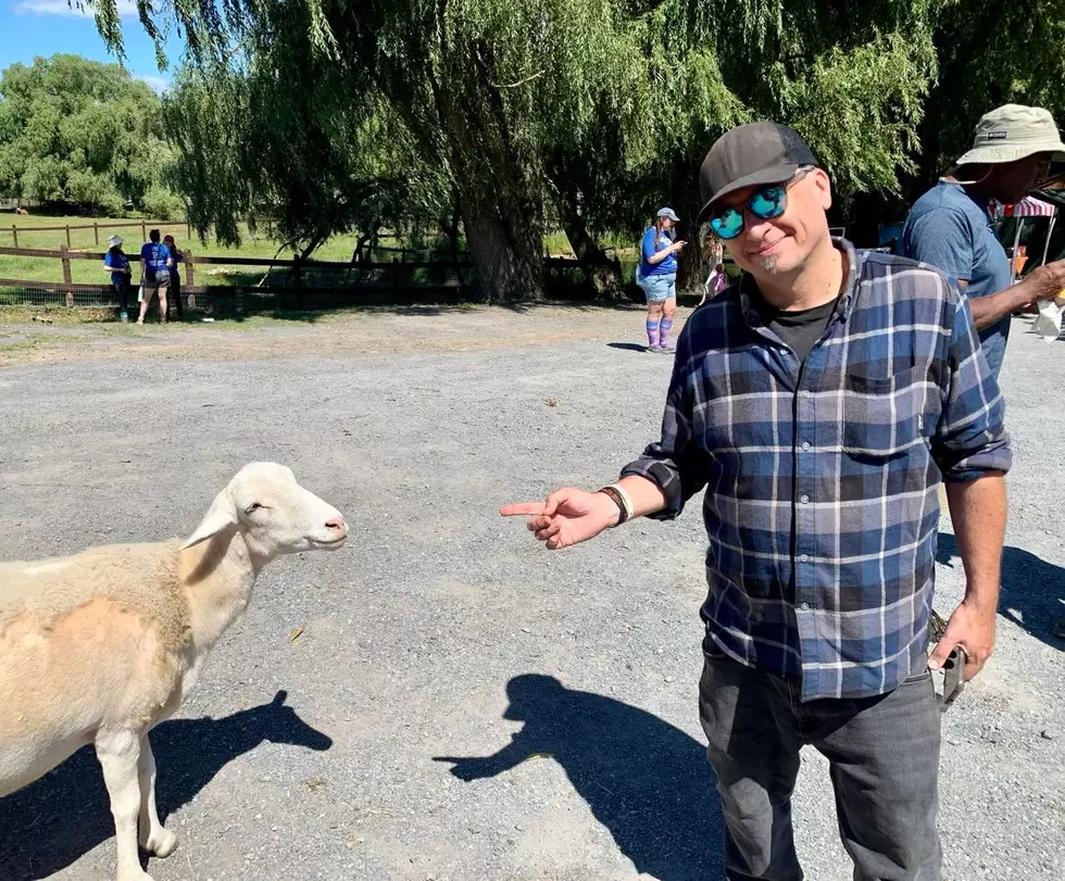 Our sweet tour guide Willow. Photo credit: Shannon Cooke