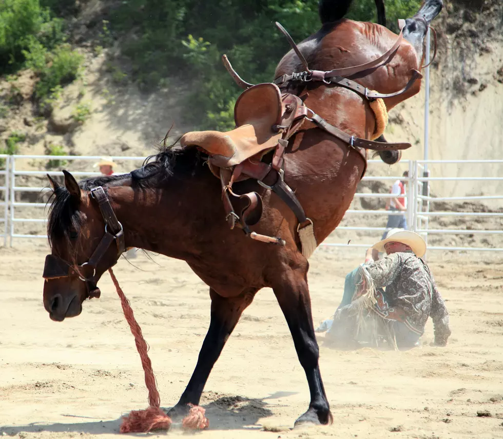 The Rodeo Is Coming to Dutchess County!