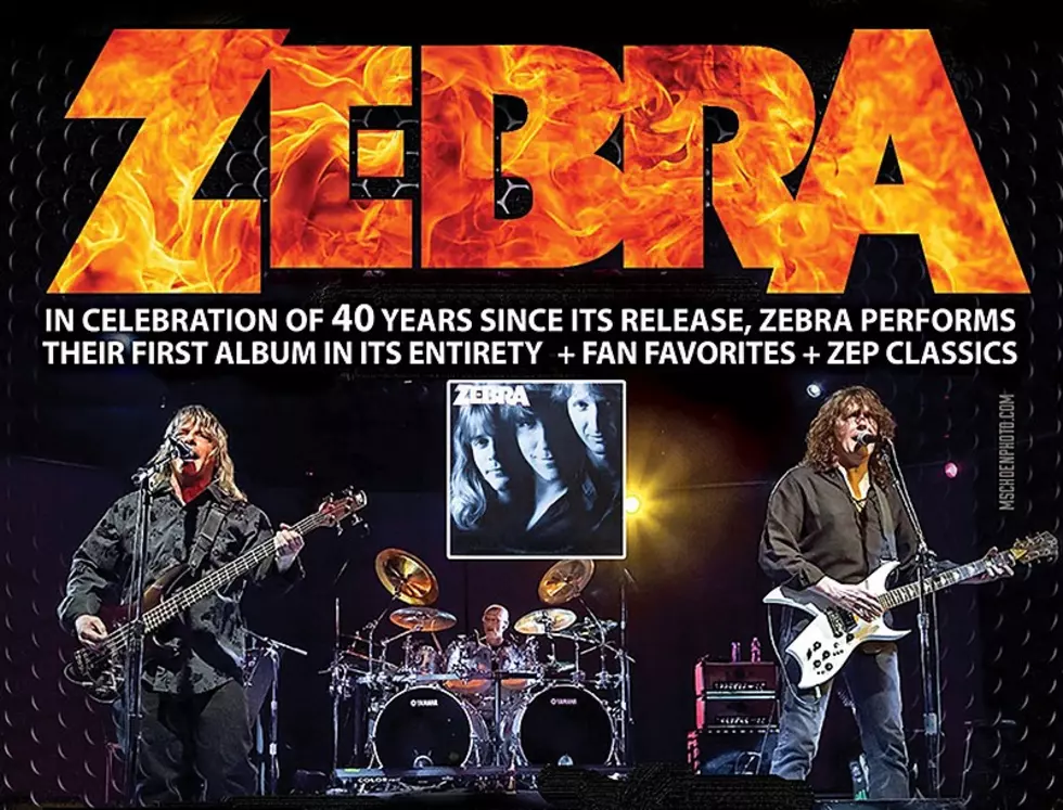 Win Tickets to See Zebra LIVE at The Paramount Theater On November 25th