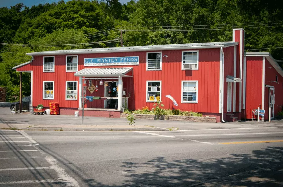 Popular Pleasant Valley Feed Store Closing After Over 40 Years