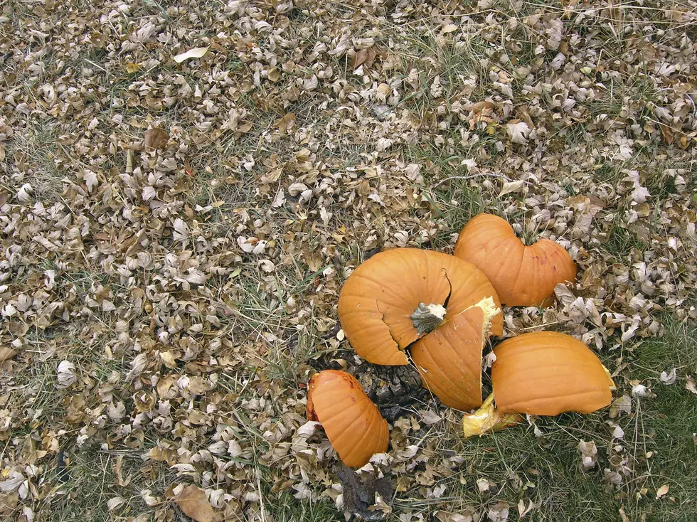 Pumpkin Thrown at Car in New York Town, Police Look For Answers