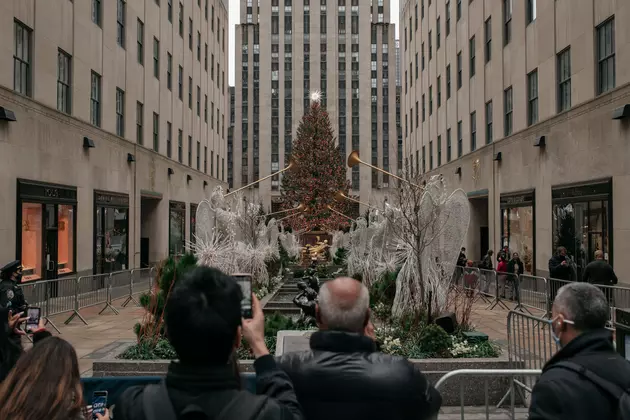 The Rockefeller Center Christmas Tree Is Finally Here