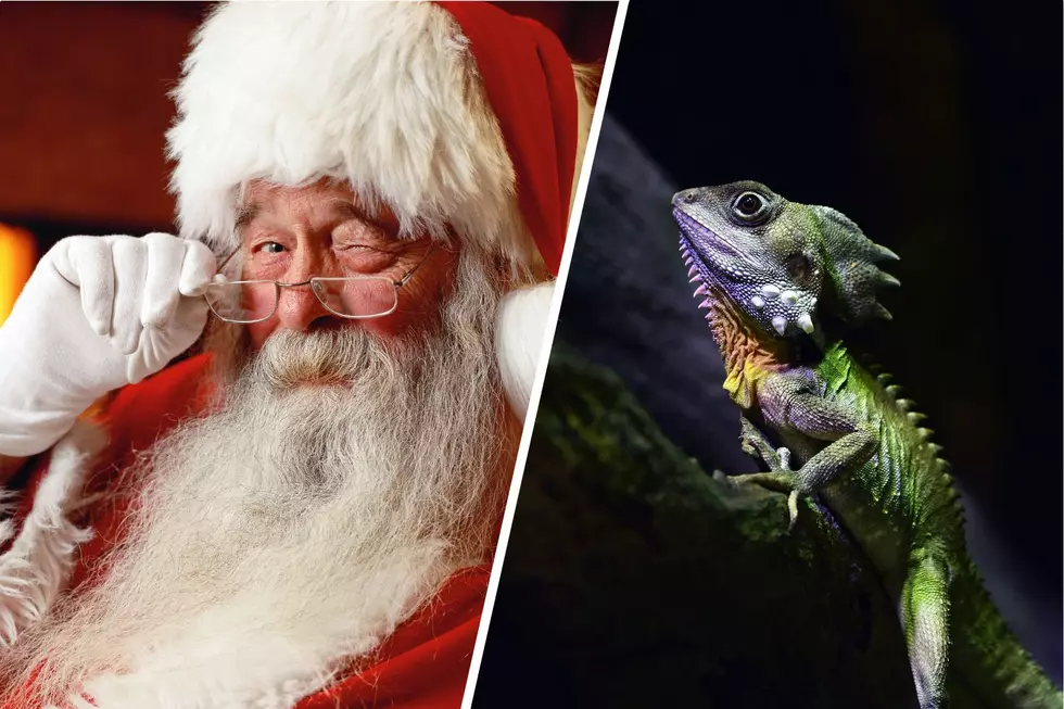Santa and Reptiles? Big Events Weekend at Poughkeepsie Venue