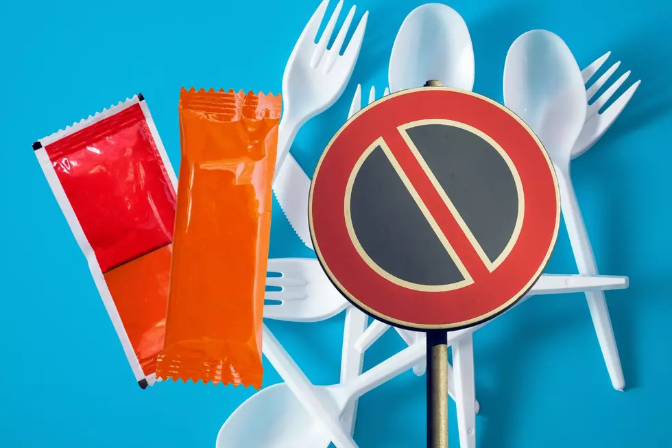 Will the Hudson Valley Outlaw Plastic Utensils and Ketchup Packs?