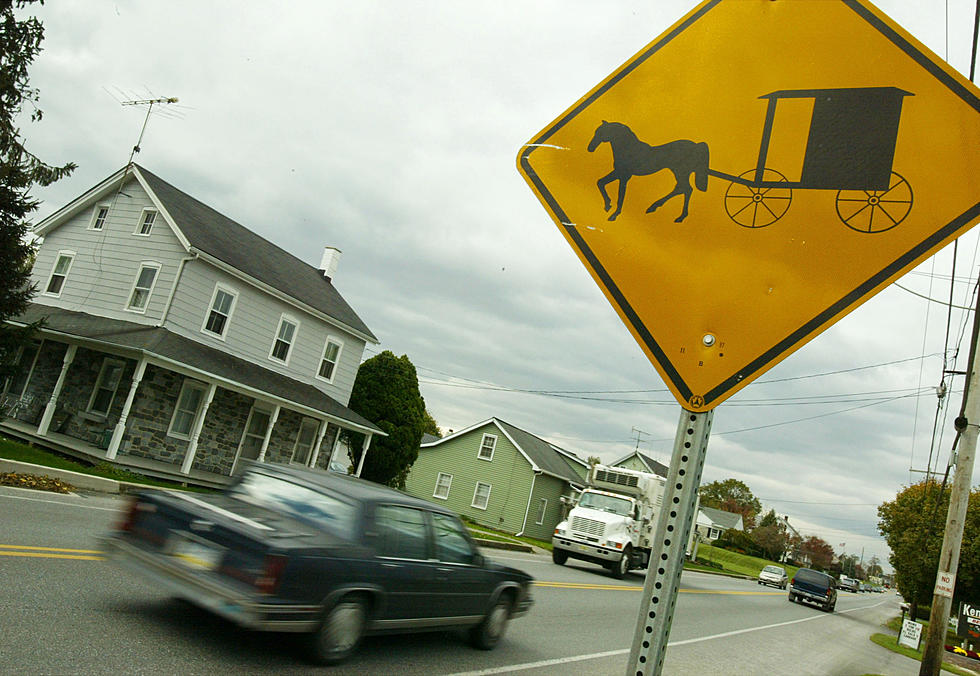Troopers Say Drunk Driver Hit Amish Buggy in New York State