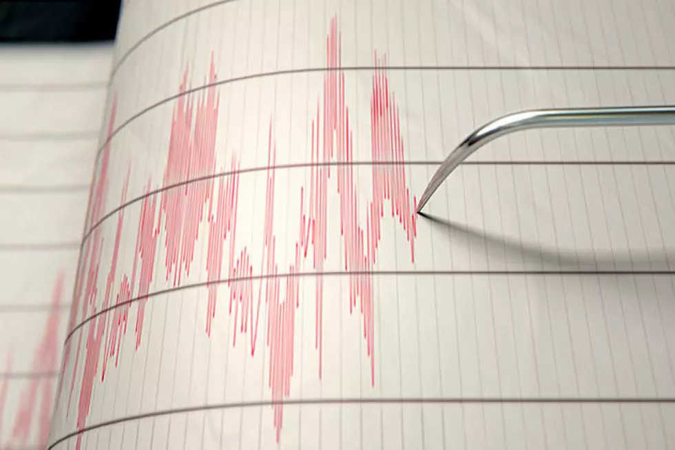 Moderate Earthquake Hits Parts of New York State