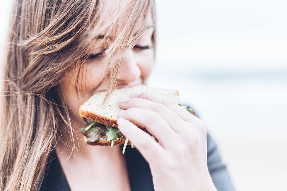 Sandwich Lovers: Top 10 Favorite Hudson Valley Delis