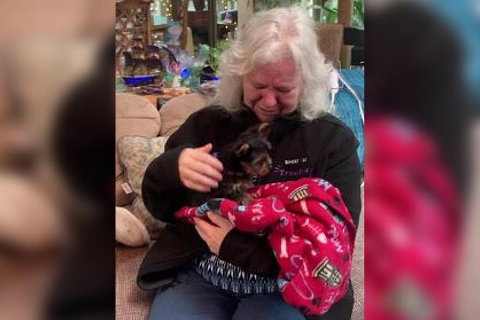 Poughkeepsie Woman&#8217;s Priceless Reaction to Puppy Surprise  [VIDEO]