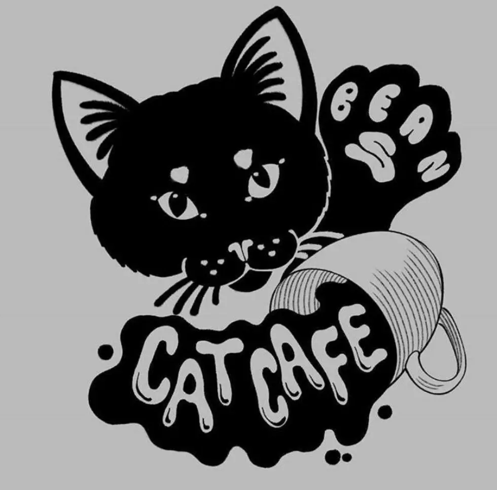 Beans Cat Cafe Facebook