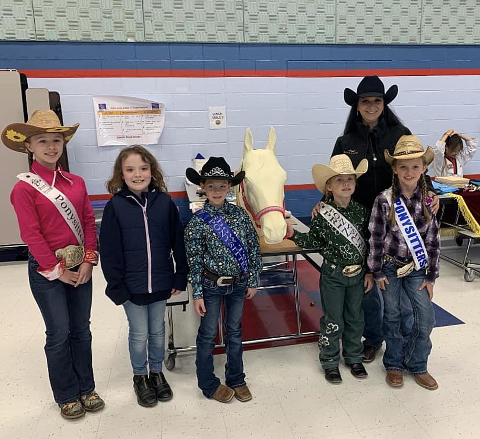 Special Equestrian Group Educating Hudson Valley at Area Schools